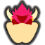 bowser icon